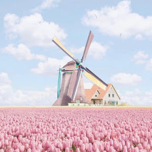 Meet your Posher, Natalia